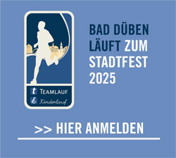 Logo Stadtlauf